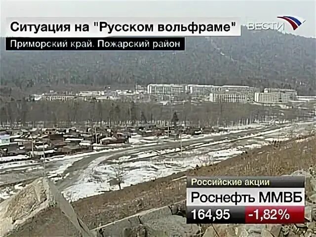Погода светлогорье пожарский
