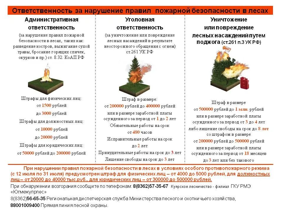 Ответственность за нарушение противопожарной. Пожарная безопасность в лесах. ответственность за нарушение пожарной безопасности. ответственность за нарушение противопожарных правил. правила пожарной безопасности в лесах.