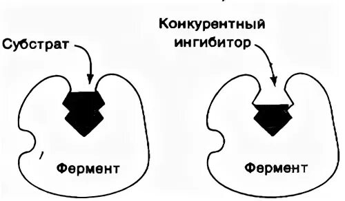 Аллостерическая активация предшественником. Механизм действия ферментов схема. Аллостерический фермент схема. Активация субстратом фермента. Активаторы биохимия.