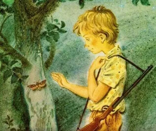 Рассказ эхо нагибин. Нагибин эхо краткое содержание. Рассказ эхо нагибин. Книга старая черепаха нагибин. Книга старая черепаха нагибин.