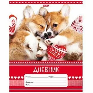 Дневник 40