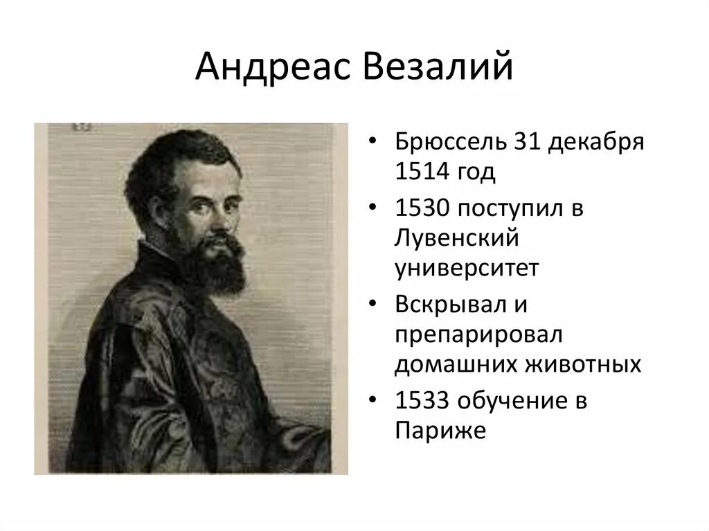 Основоположник современной научной анатомии. Андреас Везалий философия. Андреас Везалий основоположник научной анатомии. Везалий заслуги. Андреас Везалий философские взгляды.