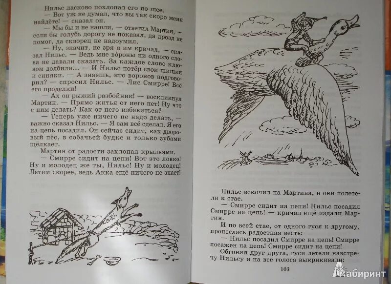 Чудесные приключения Нильса с дикими гусями книга иллюстрации. Чудесное путешествие Нильса книга. Отзыв нильса с дикими