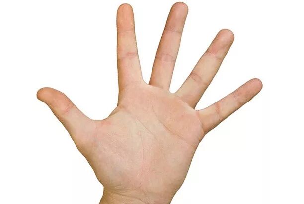 игра сколько пальцев. сколько пальцев на руке. язык жестов цифры до 100. слово 5 букв 4 звука. игра сколько пальцев.