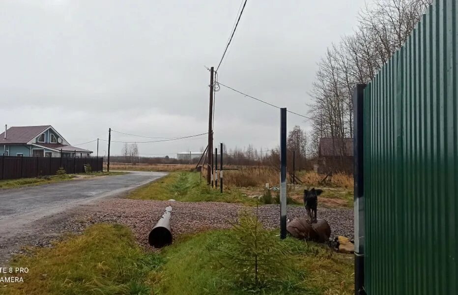 Горбунковское сельское поселение деревня разбегаево. Деревня велигонты ломоносовский район кондитерская фабрика. зао петродворцовое у д велигонты.