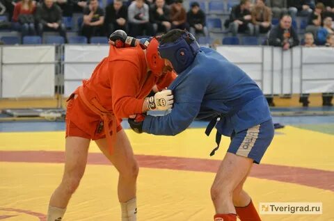 Всероссийский турнир по боевому самбо
