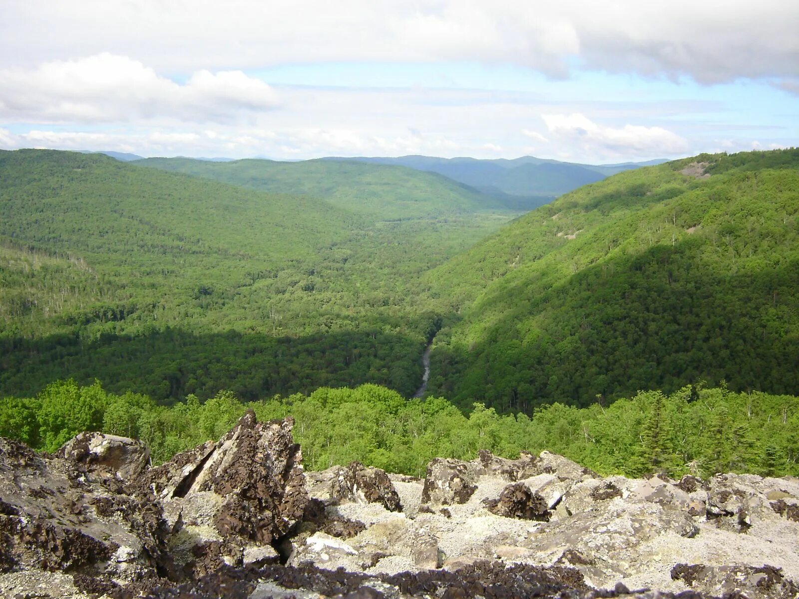 Дальневосточное пго. Северо-восточное пго магадан. Росгеология красноярск. Дальневосточное пго. Дальневосточное пго.