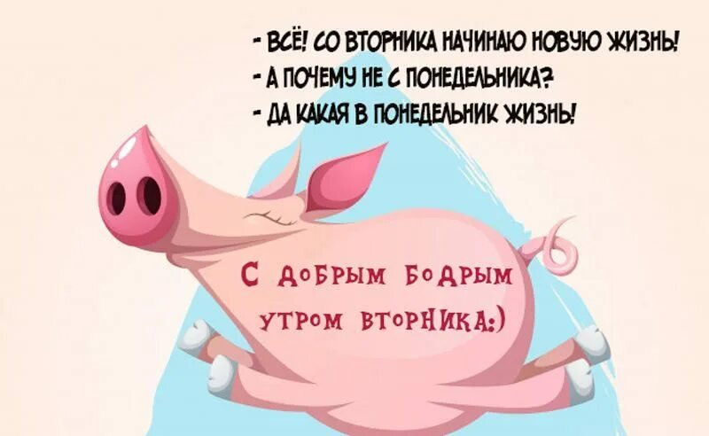Начни новую жизнь с понедельника. Жизнь понедельник. Жизнь понедельник. Понедельник начало новой жизни. Жизнь понедельник.