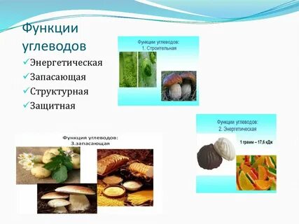 4 роли углеводов