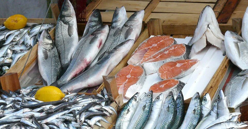 Рыба в северодвинске. Рыбный магазин. Рыбный регион. Рыба 10 кг. Тонна рыбы.