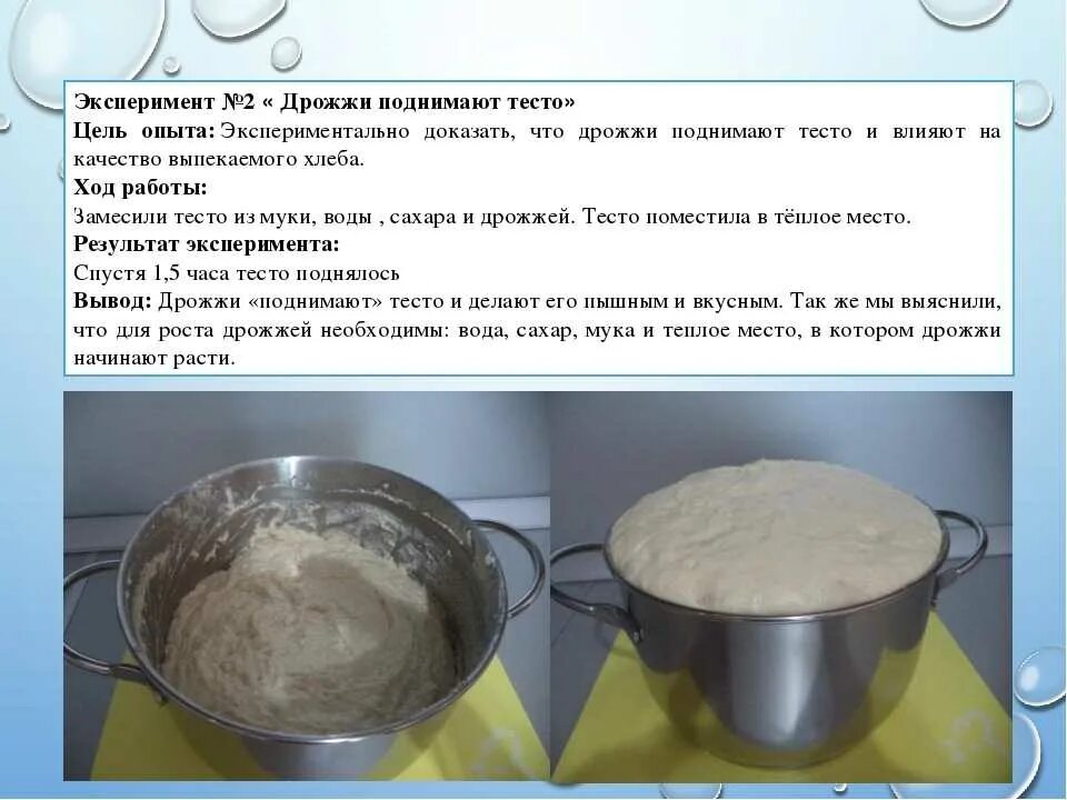 опара на сухих дрожжах. дрожжи не поднимаются что делать. дрожжи не поднимаются что делать. дрожжи не поднимаются что делать. как делить тесто на хлеб.