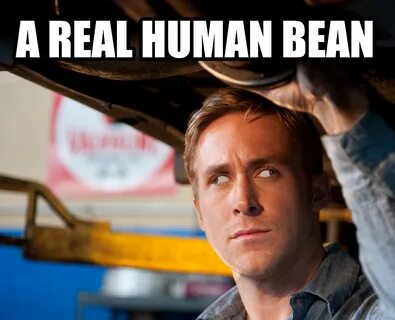Human reality