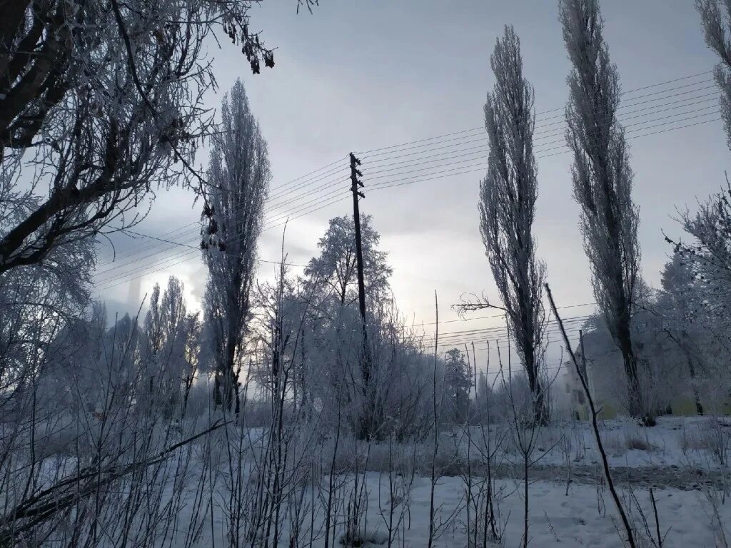 Погода в теплом курская область. Какая погода летом. Погода в теплом курская область. Теплая погода в курске. Погода в теплом курская область.