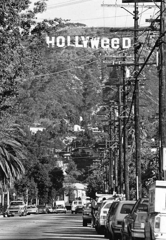 Сгорела ли надпись hollywood. Лос анджелес надпись голливуд. лос анджелес 30 х годов. старый голливуд надпись.