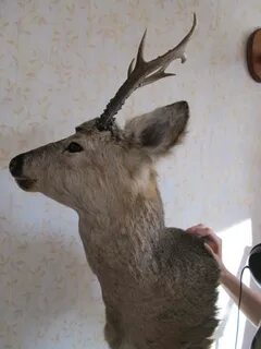 Снять рога