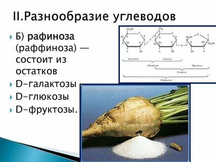 Углеводы состоят из