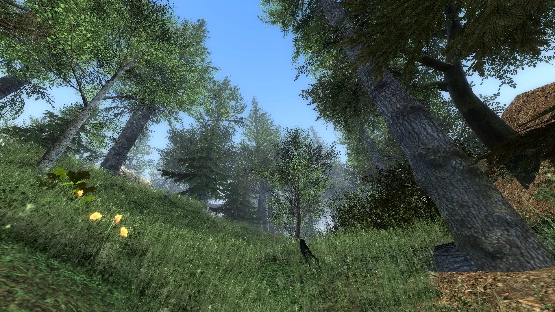 Garry's Mod карта лес. Мод на леса. Forest для Гаррис мода. Карта GM_Forest.