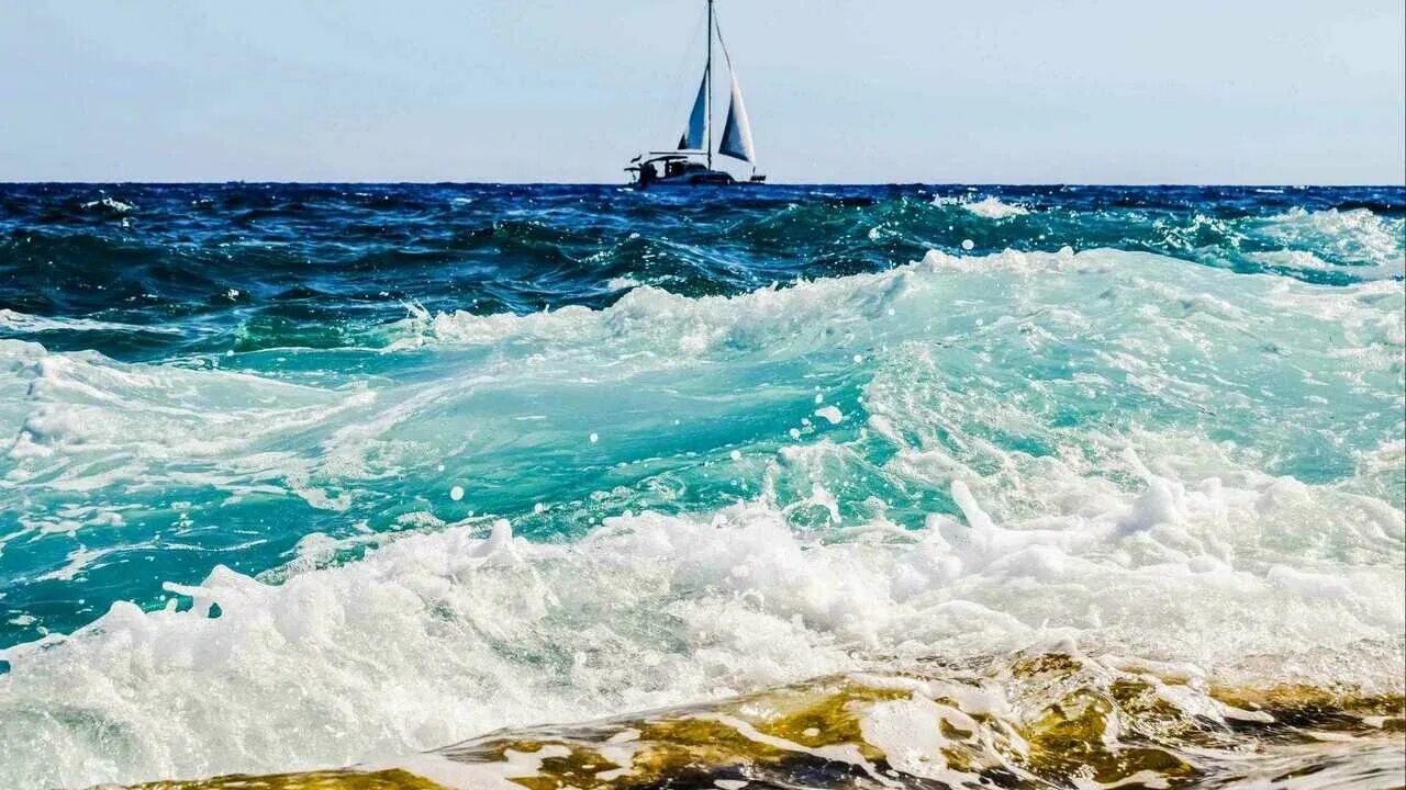 Бухта парусник тортуга. Горизонт моря и неба. Голубое море. Парусная лодка тортуга. Голубой морской простор.