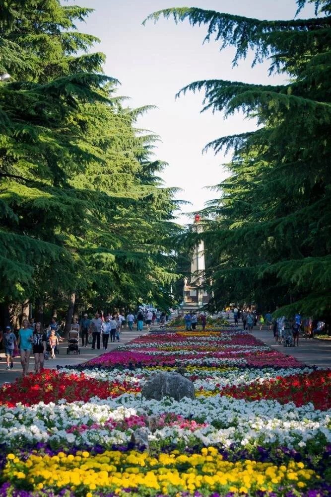 Парк приморский в алуште Фото