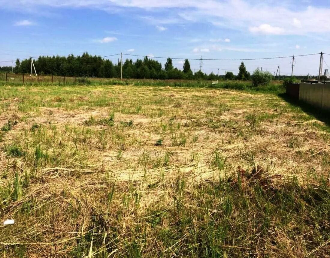 Земля грунт. Земля в туже. Земля почва. Земля с травой. Дерновой покров.