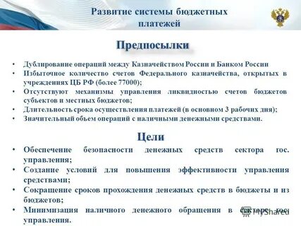 Система бюджетных платежей