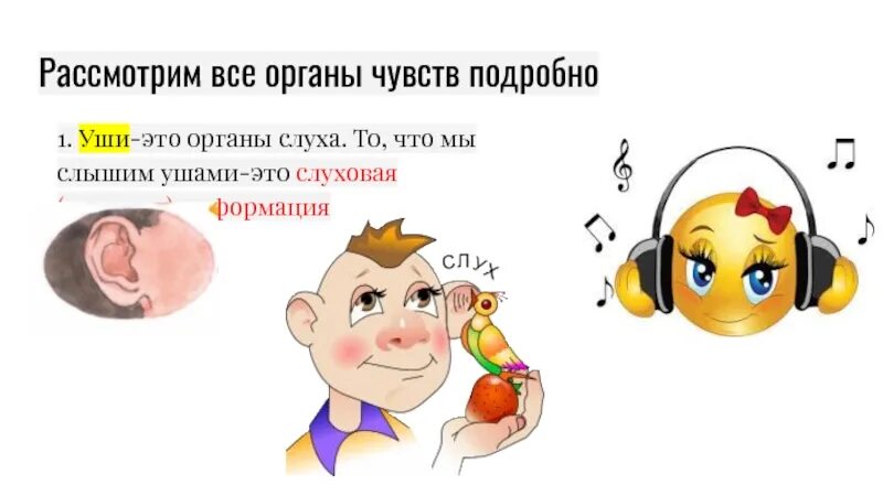 Задание что слышим ухом. Что мы слышим ухом картинки для детей. Ухо слышит. Стих что мы видим глазами, что мы слышим ушами. Звуки это то что слышит ухо грамматические