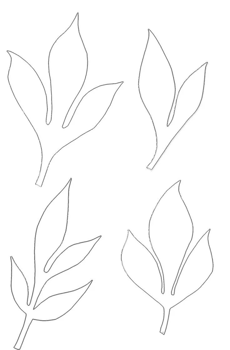 Pin on hazır kalıplar Leaf template, Leaf template printable, Leaves template fr
