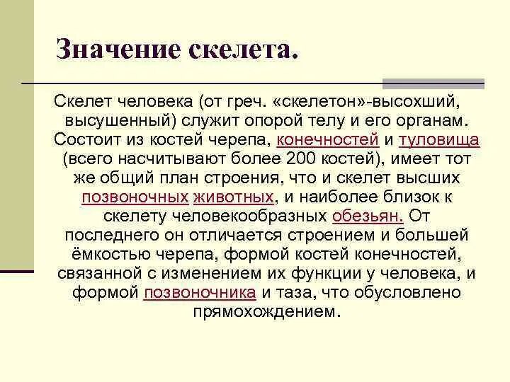 Означает что человек становится. Значение скелета. Значение скелета человека. Скелет человека значения скелета. Какое значение скелета для человека.