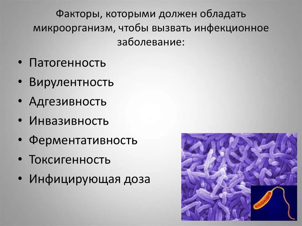 Инфекция инфекционные заболевания это заболевания вызванные. Презентация на тему инфекционные заболевания. Бактерии инфекционных заболеваний. Заболевания вызванные микроорганизмами. Микроорганизмы вызывающие инфекционные заболевания.