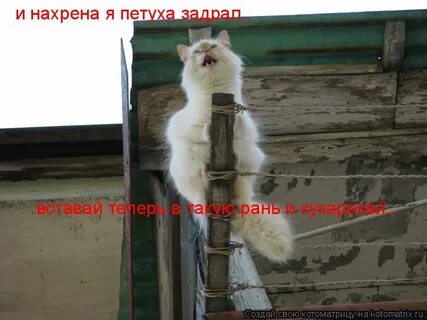 Нахрена