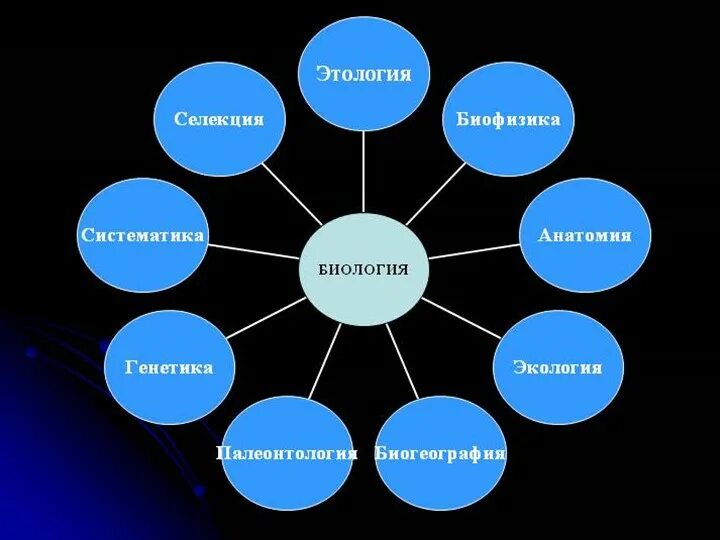 Биологические науки. Кластер биология. Кластер на уроках биологии. Кластер наука.