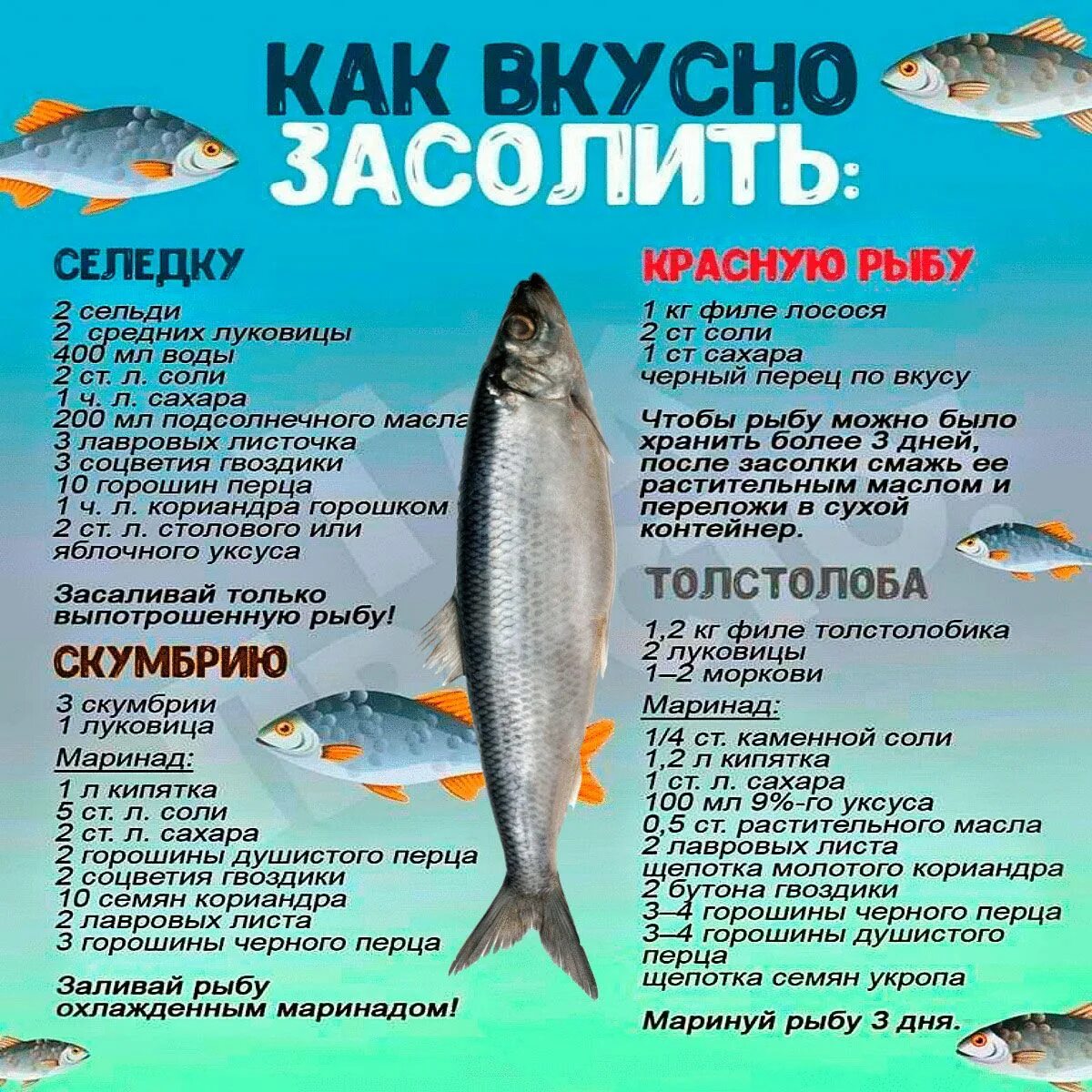 Сколько соли для засолки рыбы. Таблица засолки рыбы. Пропорция солить рыбу. Рецепт засолки рыбы. Готовая засоленная рыба.