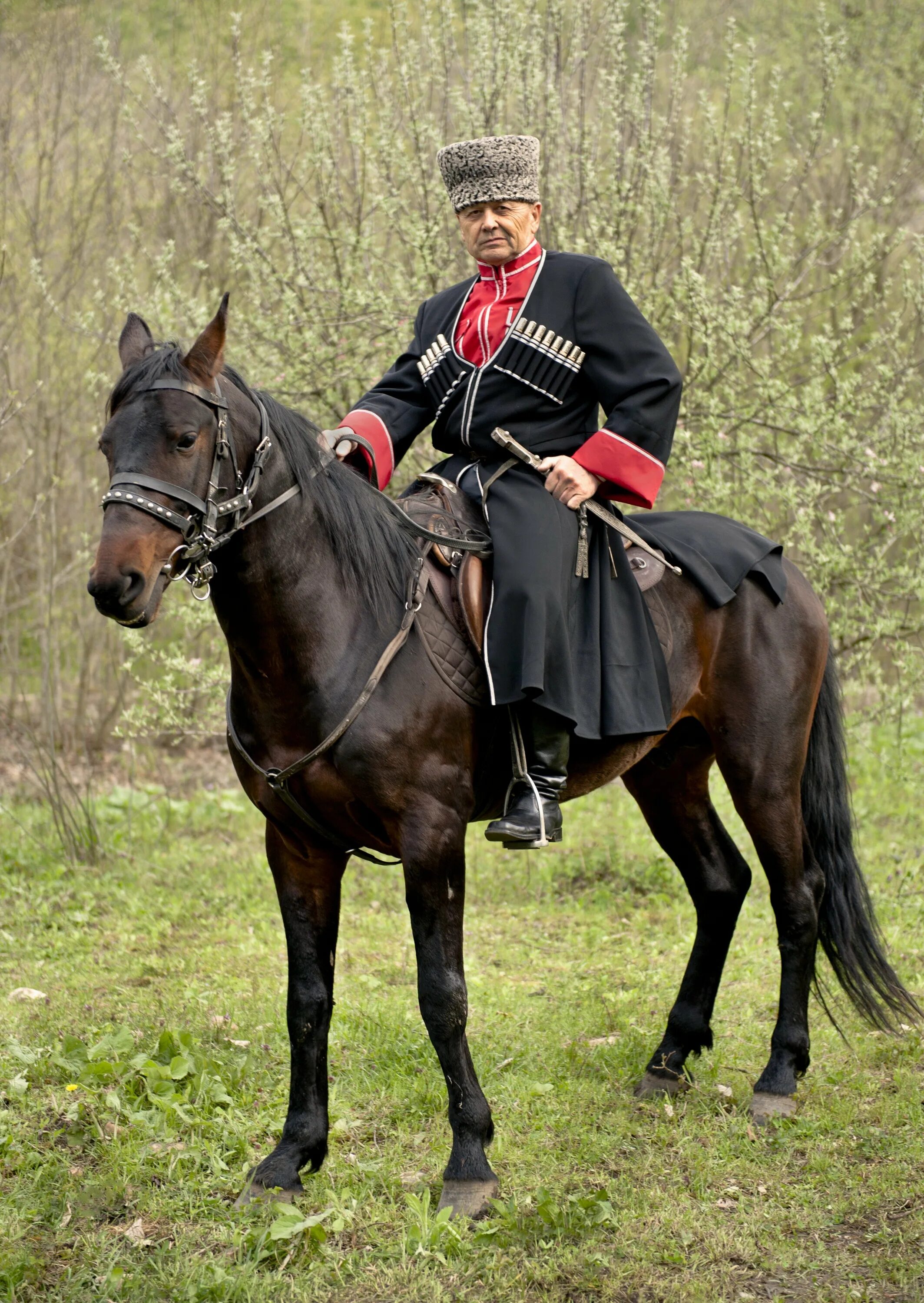 Донской казак на коне с шашкой. [Кубанский+казак+Есаул]. Донской Есаул.