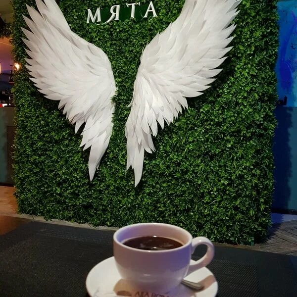 Мята таганрог. Кафе мята таганрог. гомель мята клуб. мята таганрог меню. рестобар мята орск.