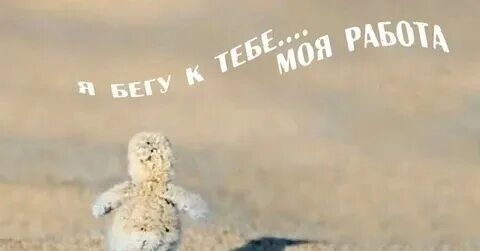Ч бегу за тобою