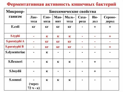 Активность в отношении микроорганизмов