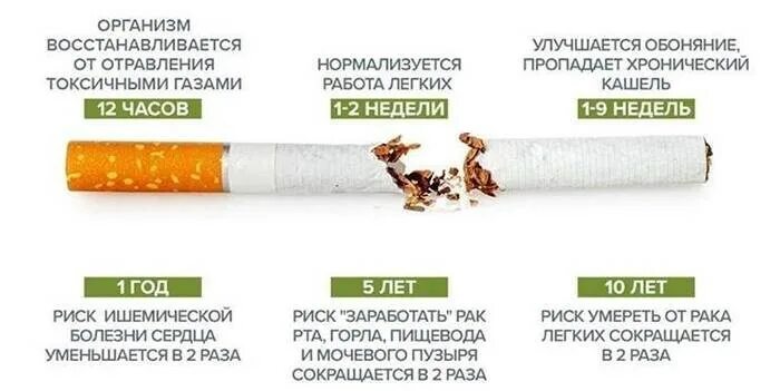 как очистить легкие после сигарет. очищенные легкие после курения. нагрузка на легкие при курении. регенерация легких курильщика. очищенные легкие после курения.