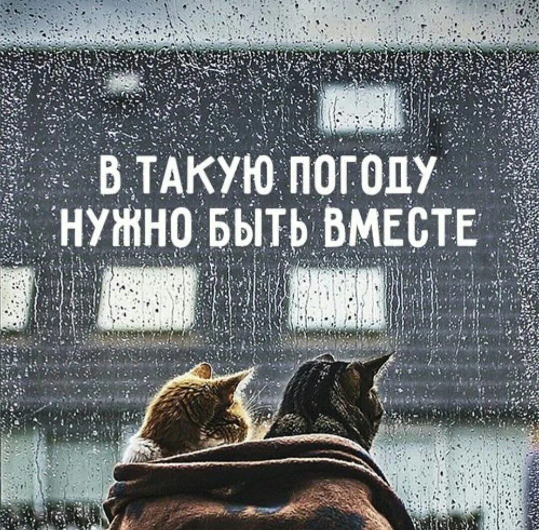 В такую погоду. В такую погоду хочется. В такую погоду надо. В такую погоду только. В любую погоду согревай