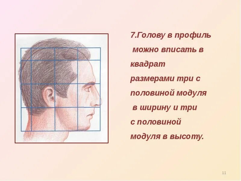 Лицо часть головы человека. Голова в профиль в квадрате. Пропорции головы человека. Голова в квадрате рисунок. Пропорции головы мужчины.