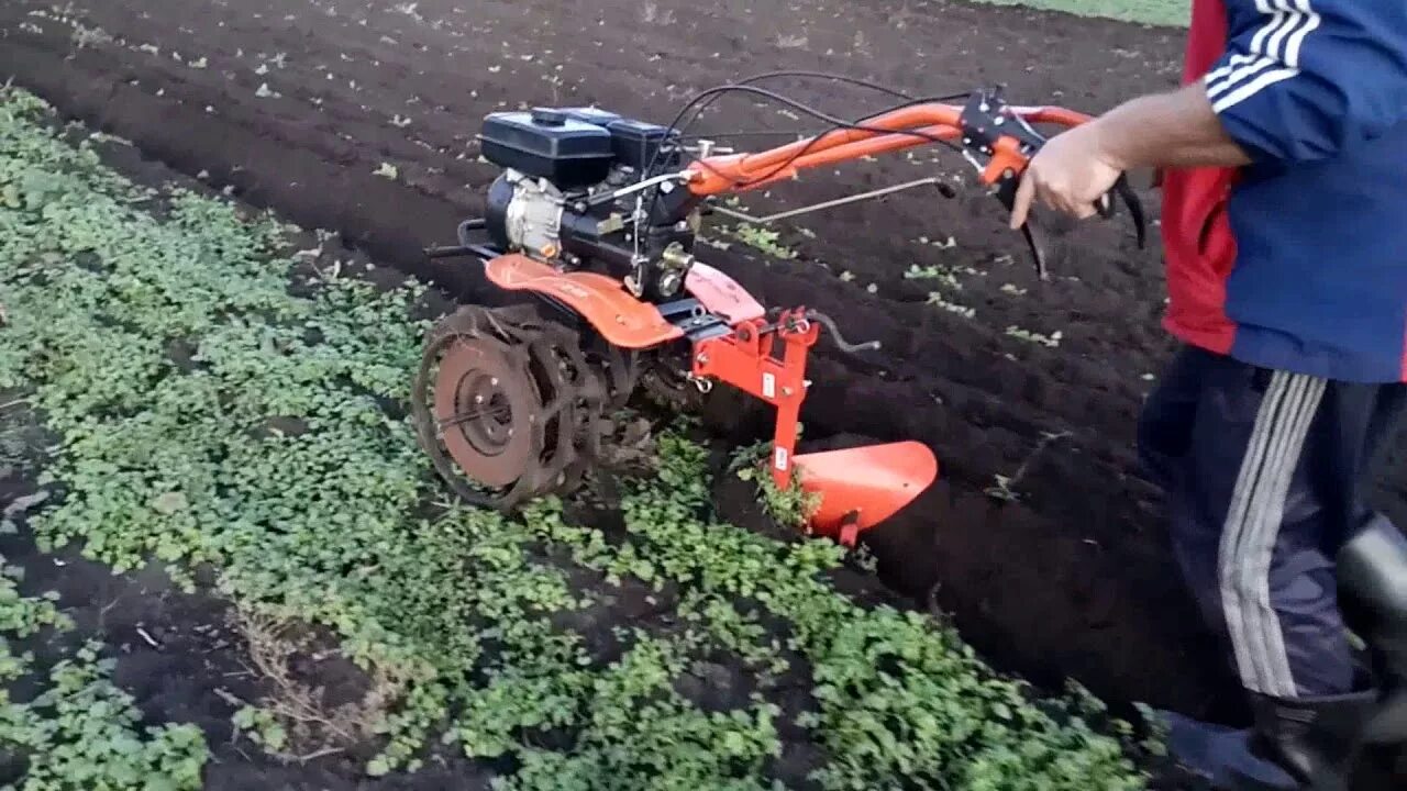 Вспашка мотоблоком с плугом. Вспашка мотоблоком Патриот. Мотоблок ЗУБР вспашка огорода. Культиватор Патриот 7 л.с вспашка.