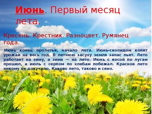 Начало лето месяц. Летние месяцы для детей. Описание лето для детей. Народный календарь лето. Июль стих.