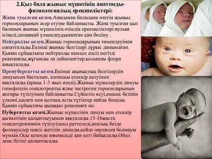 Революция тас жолының картасы