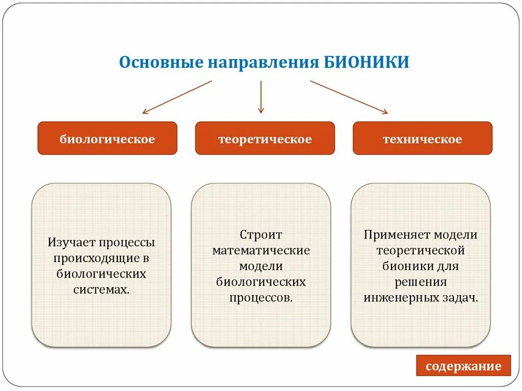 Основные направления бионики. Основные направления науки Бионика. Биологическое направление бионики. Основные направления бионики в биологии. Направления бионики