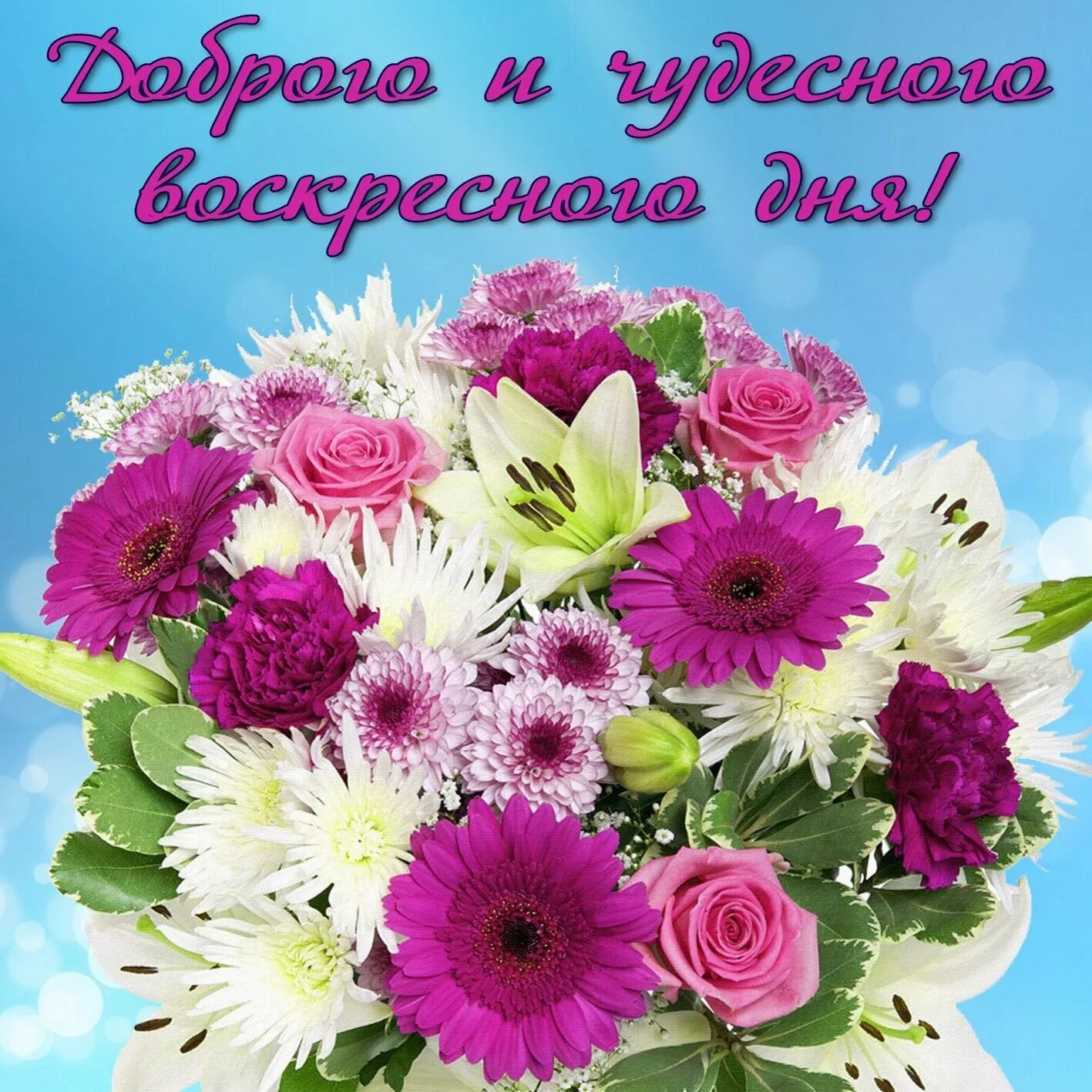 Желаю цветущего