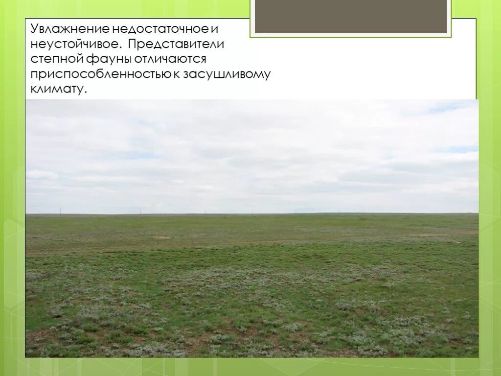 Сток наносов. Недостаточно увлажнения. Борьба с суховеями. Недостаточно увлажнения. Баротравма.