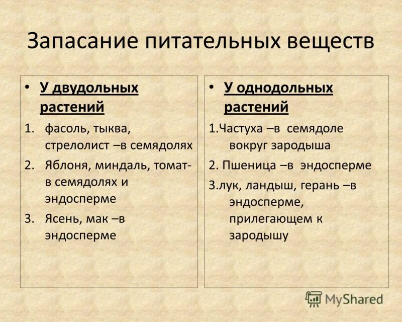 У двудольных запас питательных веществ находится в. У двудольных запас питательных веществ находится в