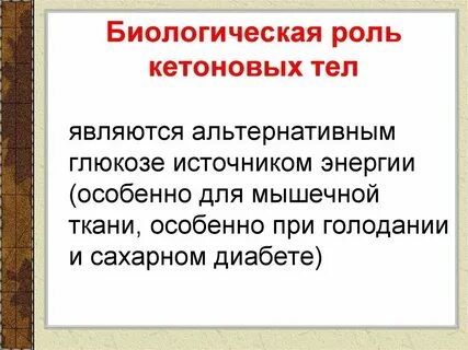 Биологическая роль катализаторов