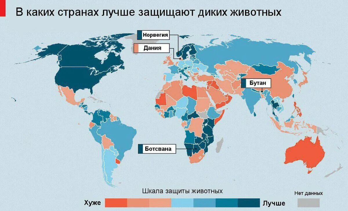 В каких странах обязательна служба. Страны по защите животных. Статистика диких животных. Страна в которой любят животных. В какой стране больше всего любят животных.