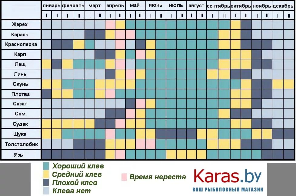 Календарь клева карася. Календарь рыбака на карпа. Таблица ловли рыбы. Календарь клева карпа и карася. Схема клева