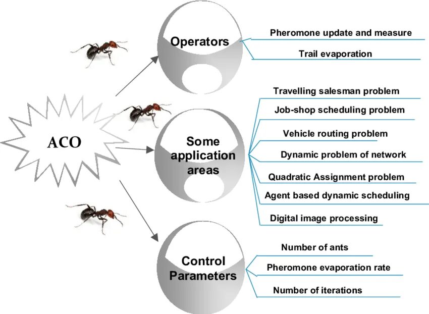 Как пользоваться ant. Ant colony optimization algorithm. муравьиный алгоритм. алгоритм муравья. алгоритм муравьиной колонии.
